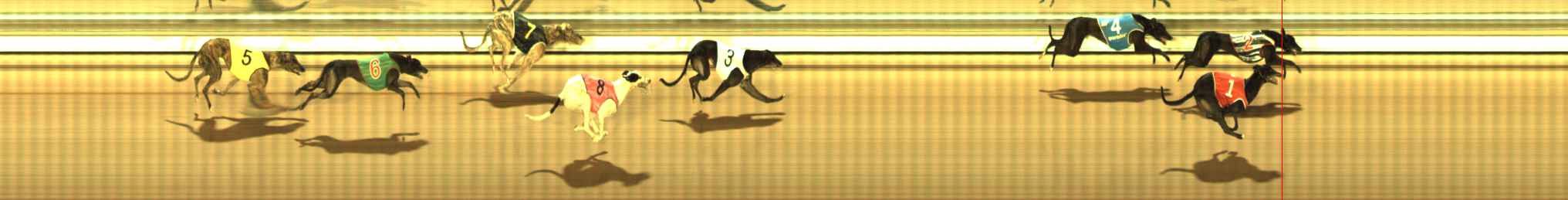 Photo finish for The Meadows Race 11