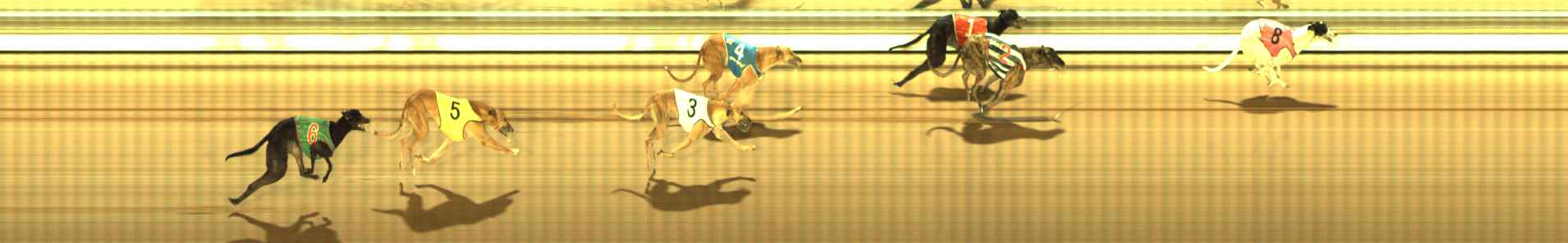 Photo finish for The Meadows Race 12