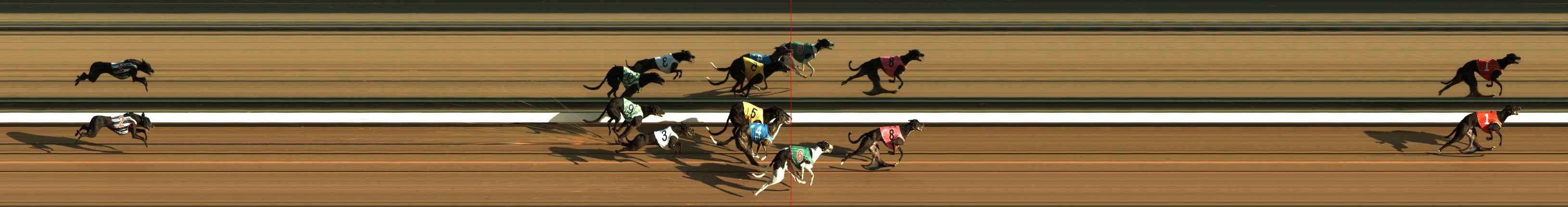 Photo finish for The Meadows Race 1