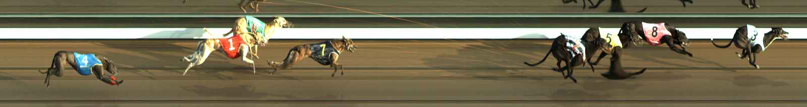 Photo finish for The Meadows Race 2