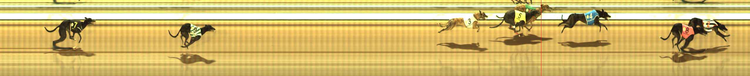 Photo finish for The Meadows Race 8