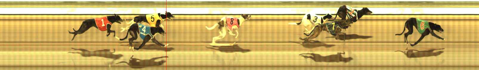 Photo finish for The Meadows Race 9