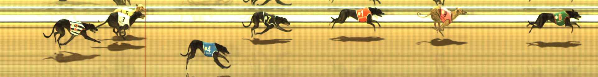 Photo finish for The Meadows Race 10