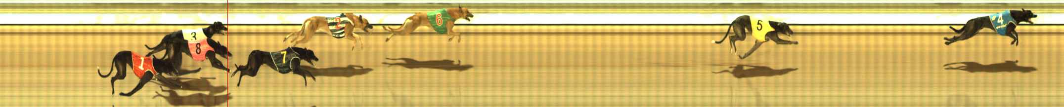Photo finish for The Meadows Race 11