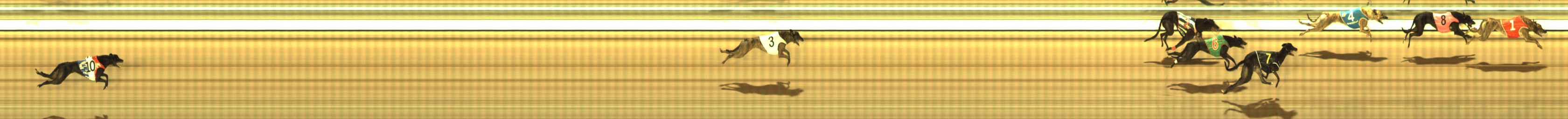 Photo finish for The Meadows Race 12
