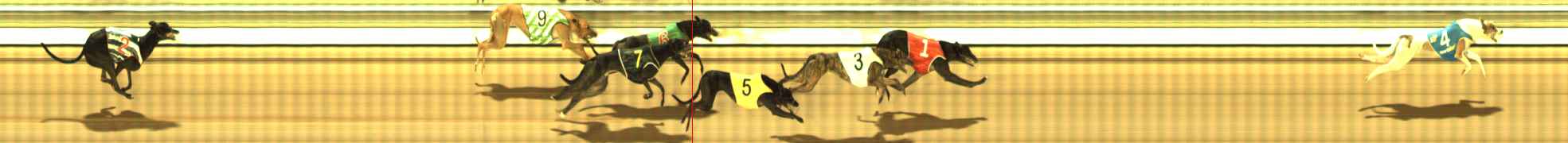 Photo finish for The Meadows Race 7
