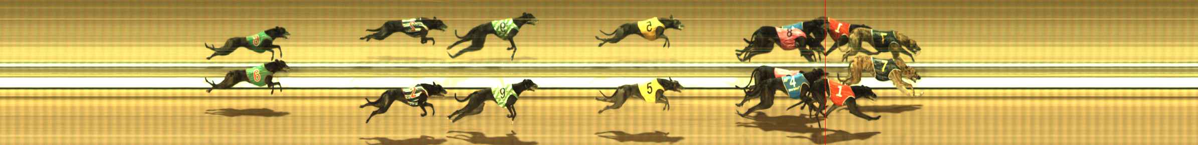 Photo finish for The Meadows Race 8
