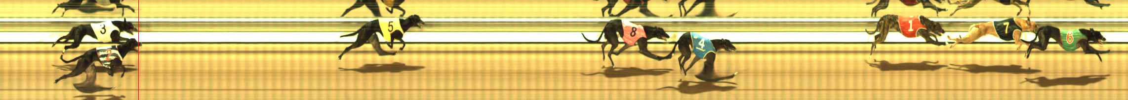 Photo finish for The Meadows Race 9
