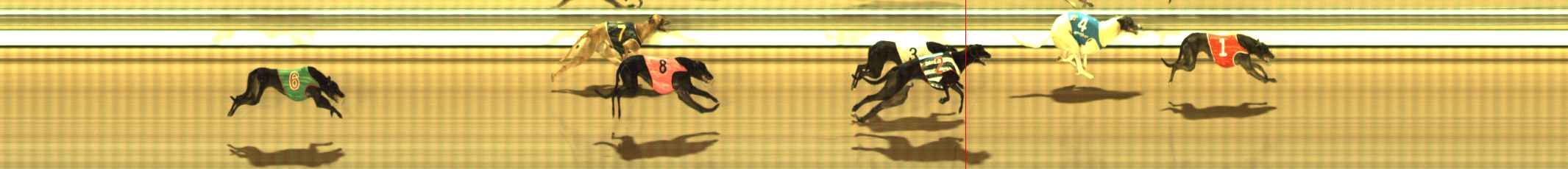 Photo finish for The Meadows Race 10
