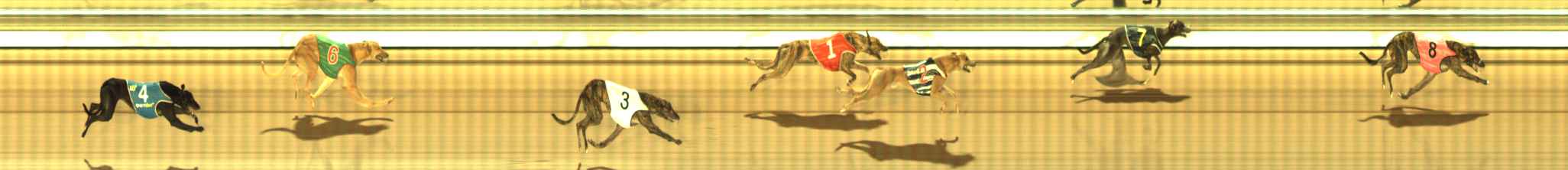Photo finish for The Meadows Race 11
