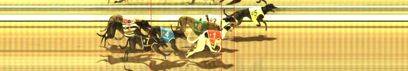 Photo finish for The Meadows Race 8