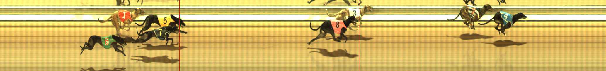 Photo finish for The Meadows Race 9