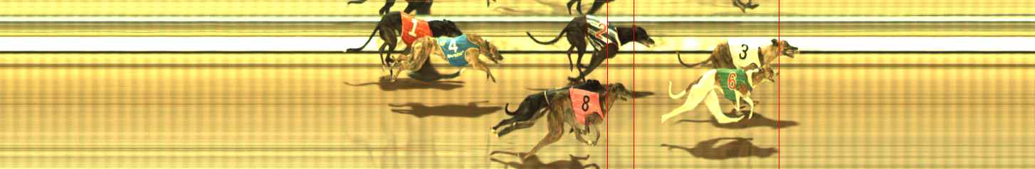 Photo finish for The Meadows Race 11