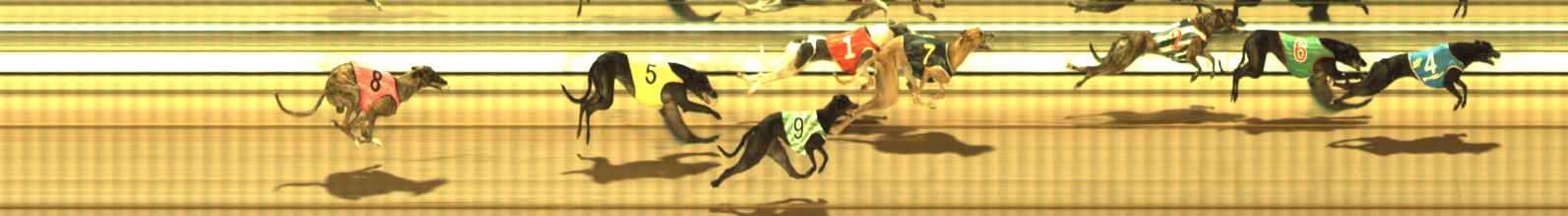 Photo finish for The Meadows Race 12