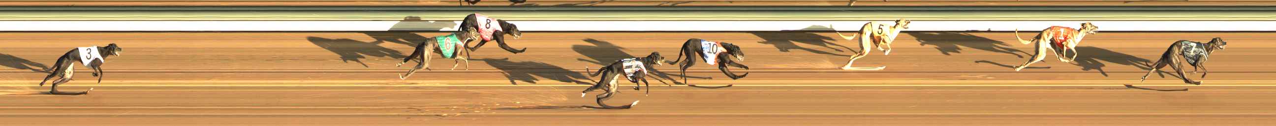 Photo finish for The Meadows Race 1