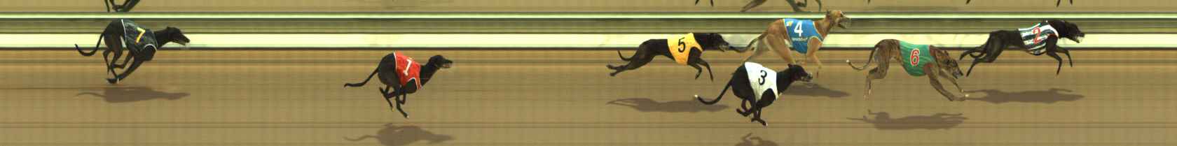 Photo finish for The Meadows Race 4