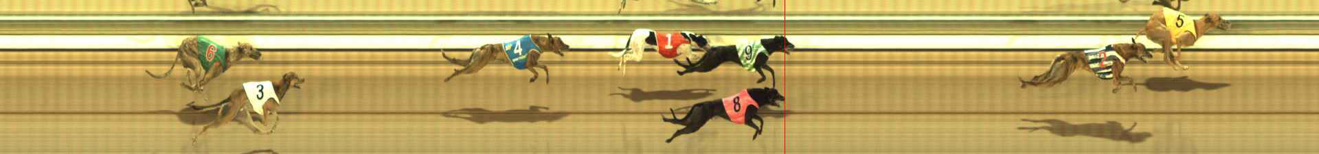 Photo finish for The Meadows Race 5