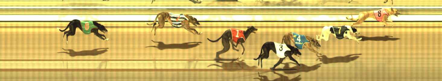 Photo finish for The Meadows Race 7