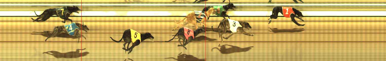 Photo finish for The Meadows Race 8