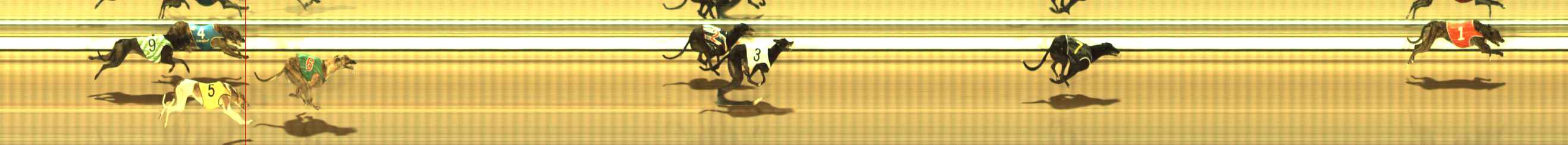 Photo finish for The Meadows Race 9