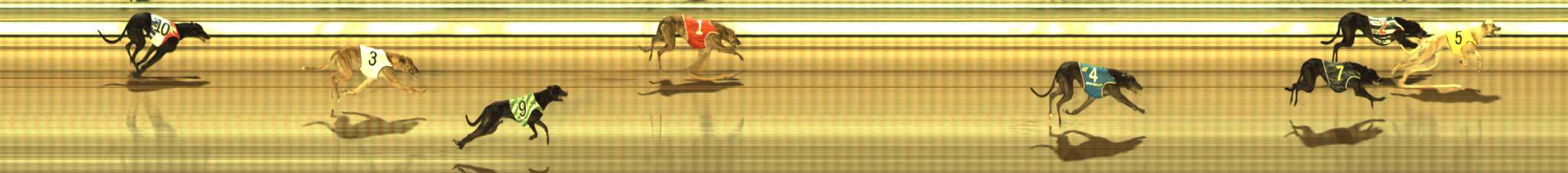 Photo finish for The Meadows Race 11