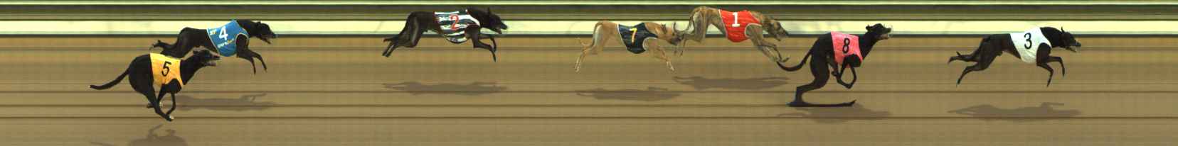 Photo finish for The Meadows Race 1