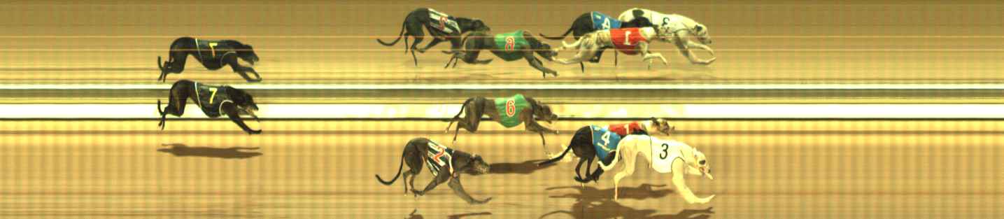 Photo finish for The Meadows Race 3