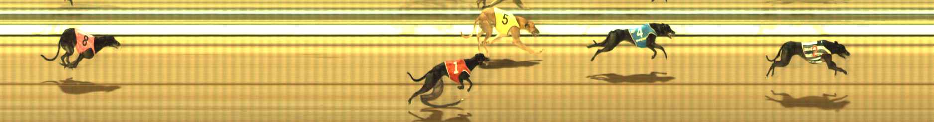 Photo finish for The Meadows Race 4