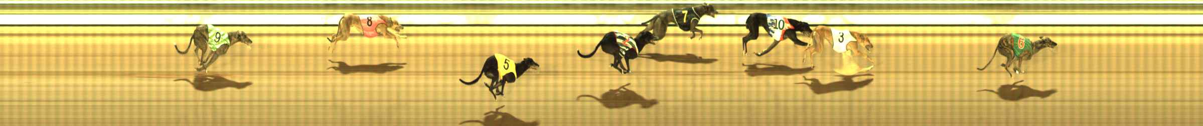 Photo finish for The Meadows Race 8