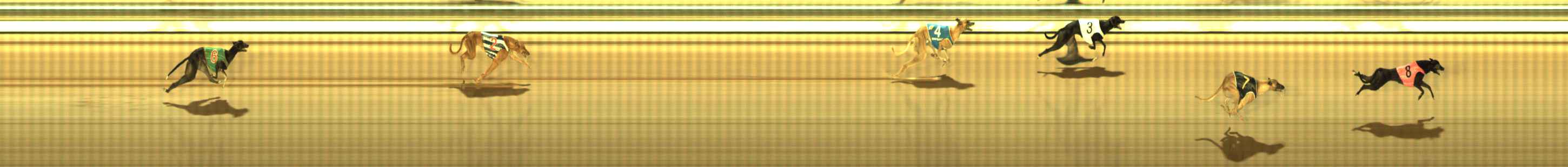Photo finish for The Meadows Race 9