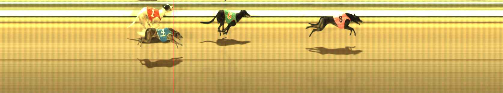 Photo finish for The Meadows Race 10