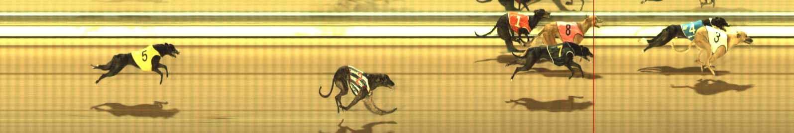 Photo finish for The Meadows Race 5