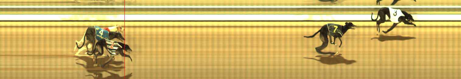 Photo finish for The Meadows Race 6