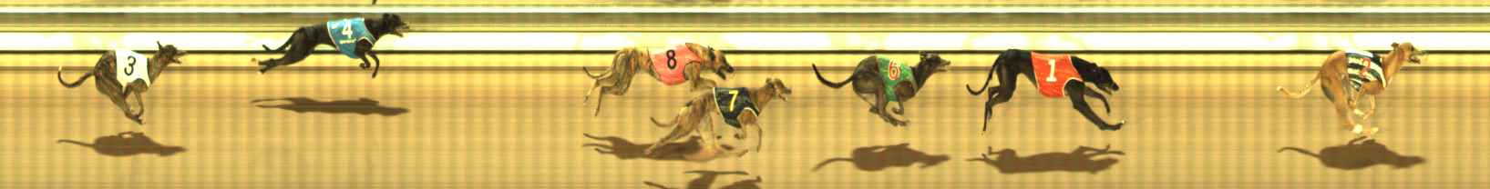 Photo finish for The Meadows Race 8