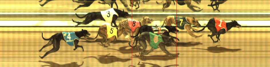 Photo finish for The Meadows Race 10