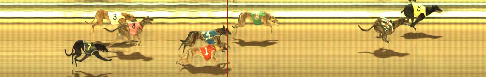 Photo finish for The Meadows Race 11