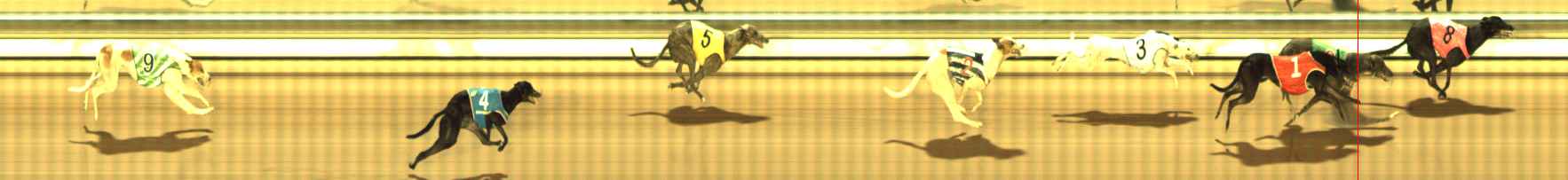 Photo finish for The Meadows Race 12