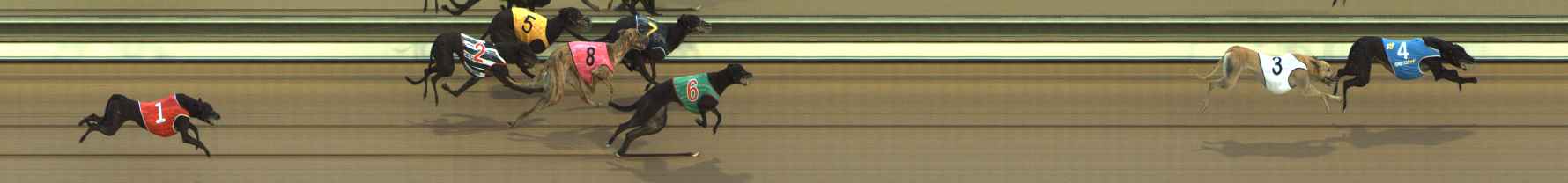 Photo finish for The Meadows Race 1
