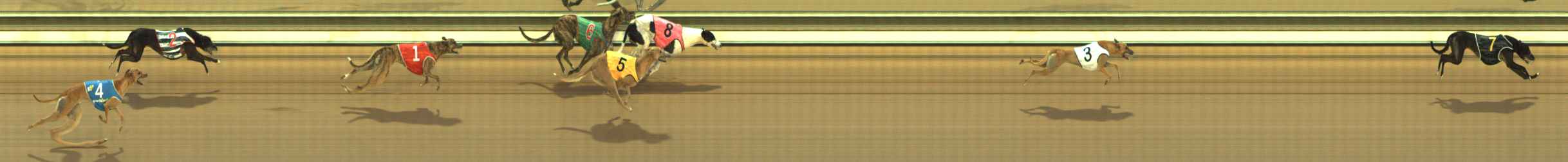 Photo finish for The Meadows Race 3