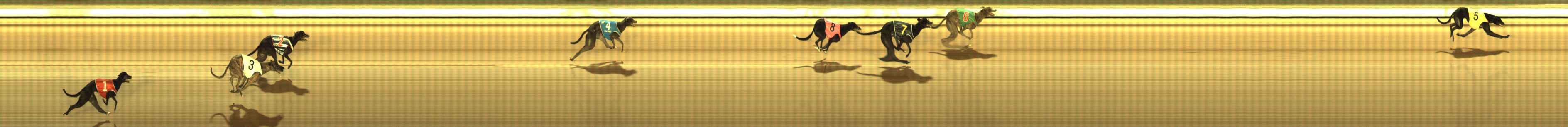 Photo finish for The Meadows Race 5