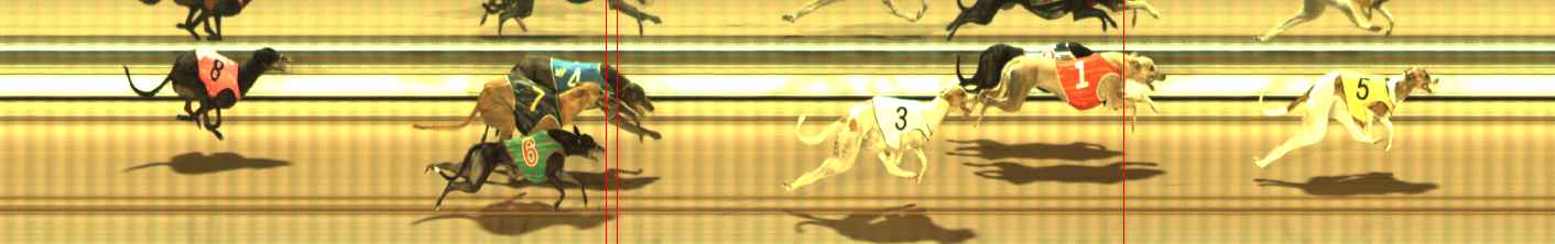 Photo finish for The Meadows Race 6