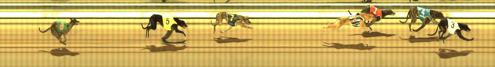 Photo finish for The Meadows Race 7