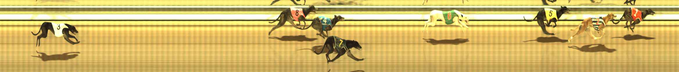 Photo finish for The Meadows Race 8