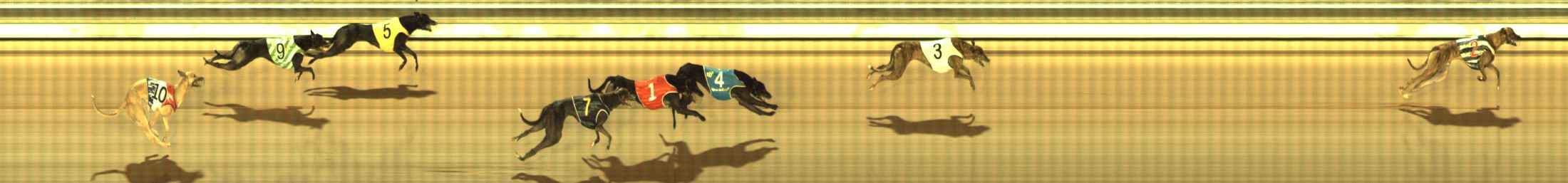 Photo finish for The Meadows Race 10