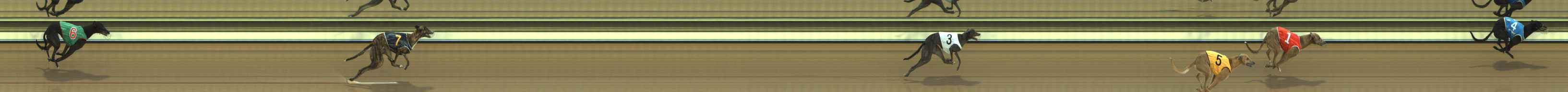 Photo finish for The Meadows Race 1