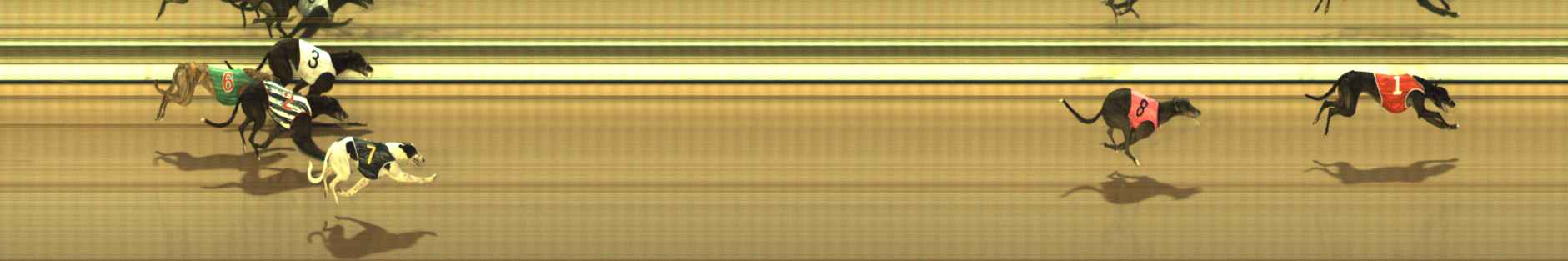 Photo finish for The Meadows Race 3