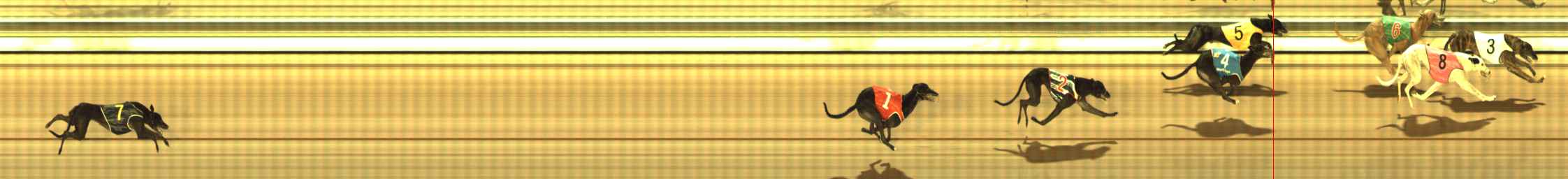 Photo finish for The Meadows Race 5