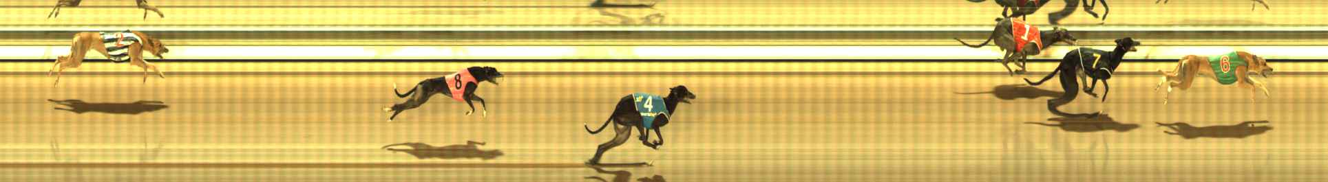 Photo finish for The Meadows Race 6
