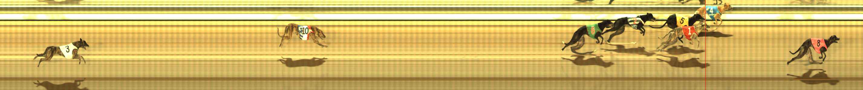 Photo finish for The Meadows Race 7