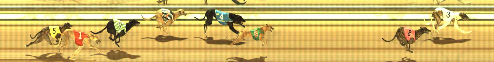 Photo finish for The Meadows Race 10